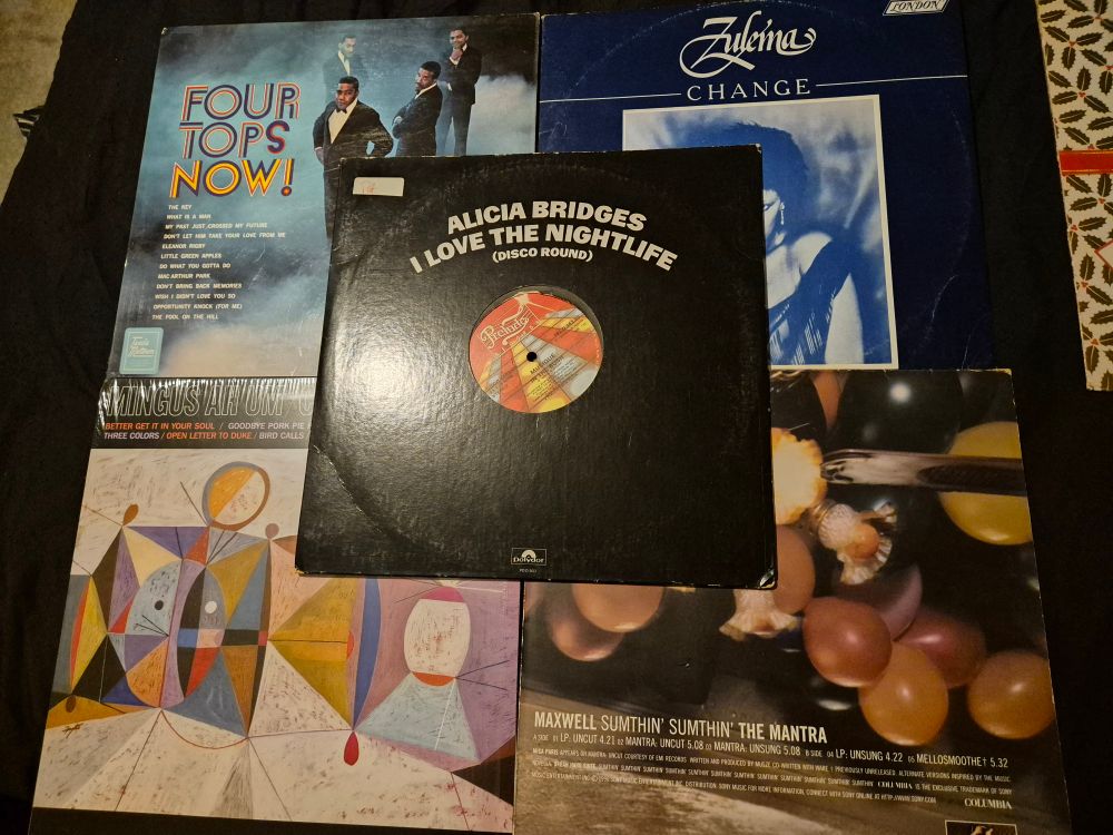 Records by The Four Tops, Zulema, Musique, Charles Mingus and Maxwell.