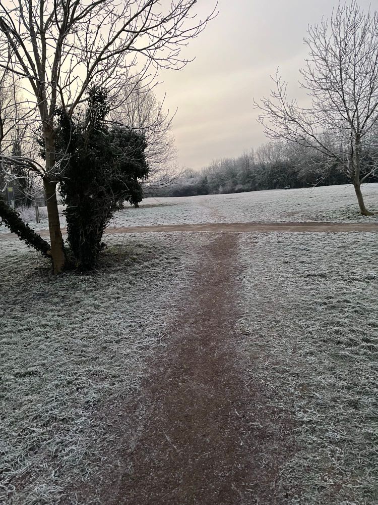 Grass tipped with frost stretching to bare trees