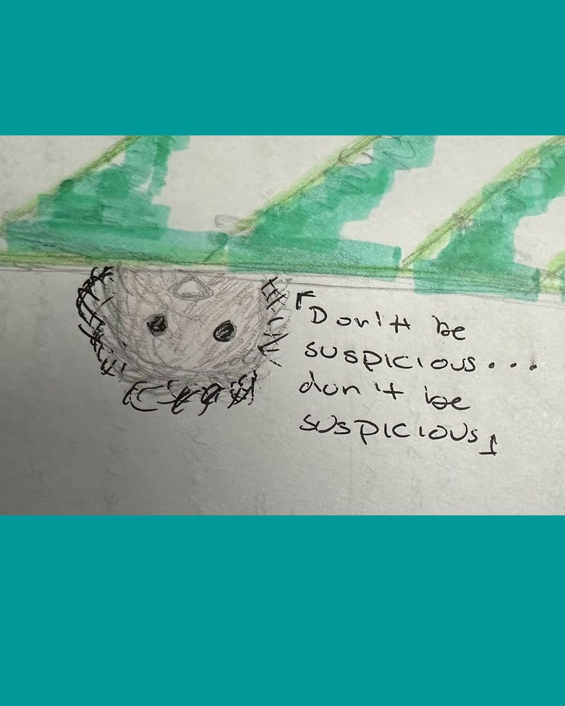 A drawing of BB (Bazooka Beaver)'s head poking down from the ceiling, with a caption reading "don't be suspicious... don't be suspicious"