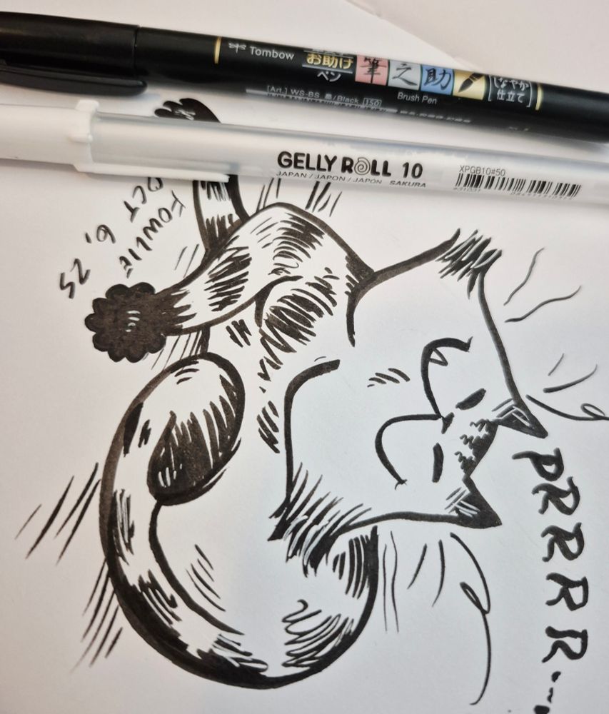 A photo of the same drawing from a different angle, with the pens used.  Tombow fude brushpen and Sakura gelly roll gel pen.