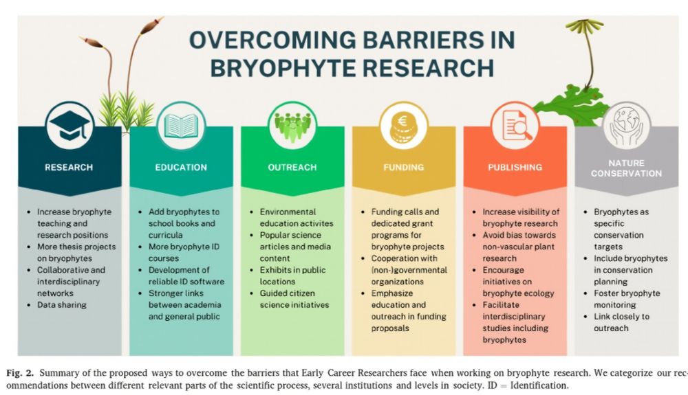 Block of text on ideas to improve state of bryolocal research, education, public awareness, funding, publication, nature conservation.  See details at https://www.researchgate.net/publication/385574575_Early_Career_Researchers_advocate_for_raising_the_profile_of_bryophyte_ecological_research