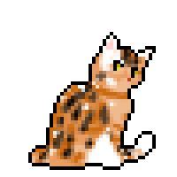 a pixel sprite of a red and black tortoiseshell tabby cat sitting and facing the right. it is primarily red with black and white spotting.
