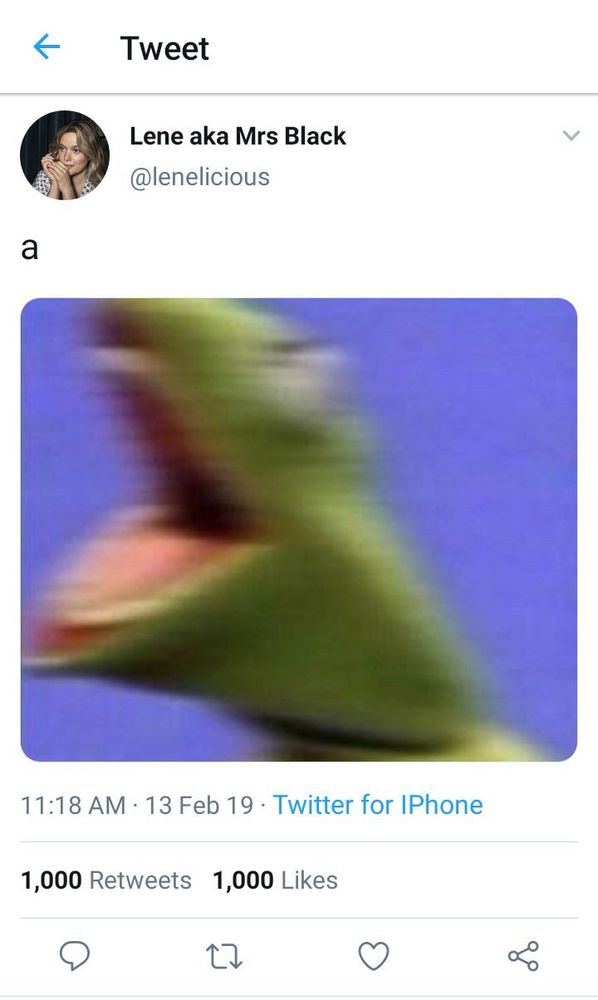 Comment image