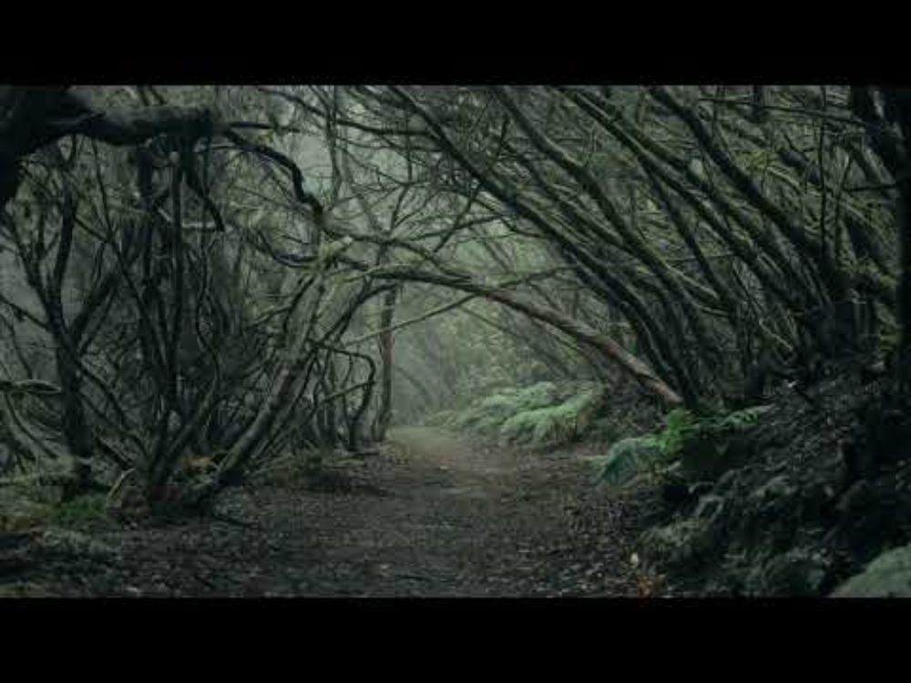 Fall and Winter Ambient Magic