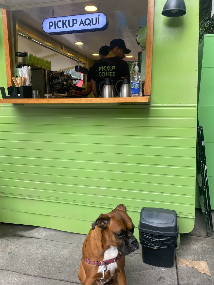 a boxer sitting in front of a green coffee stand with a sign that says Pickup Aqui.