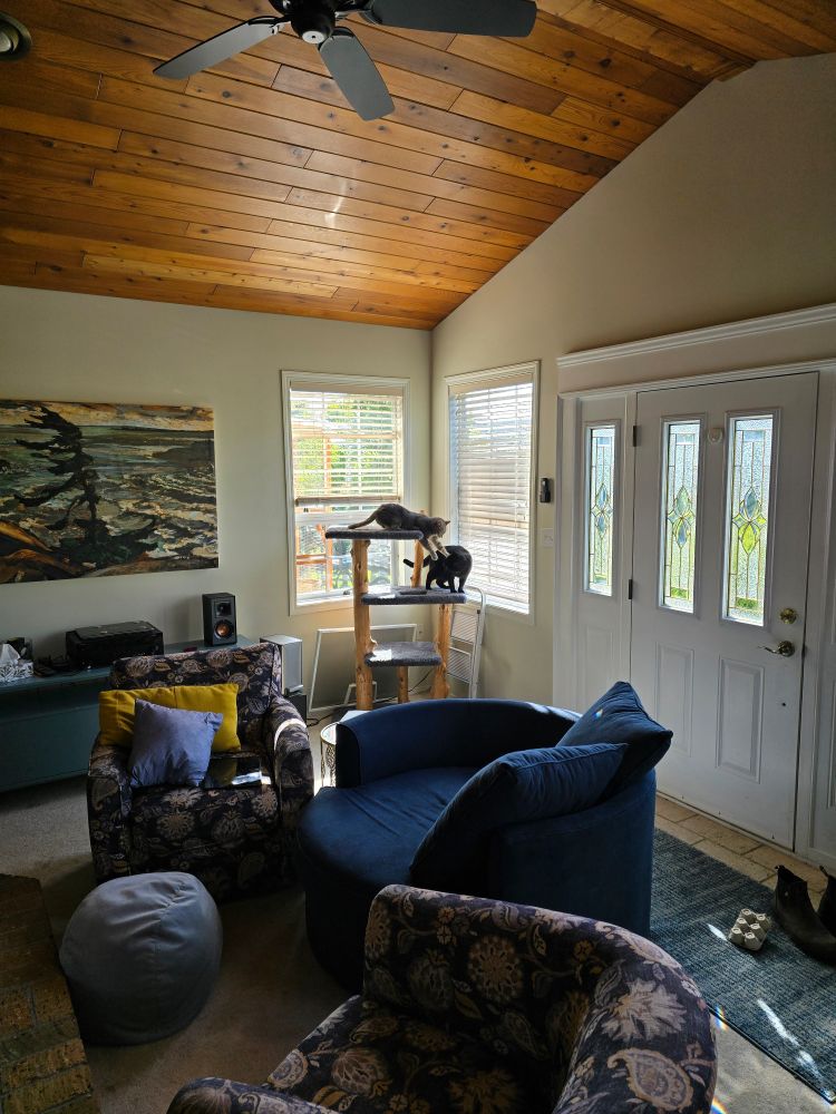 Picture of two cats fighting on a cat play tree 