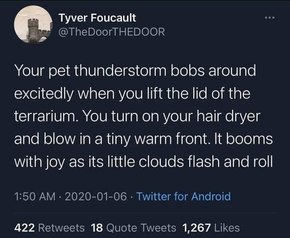 Cute tweet about a pet thunderstorm