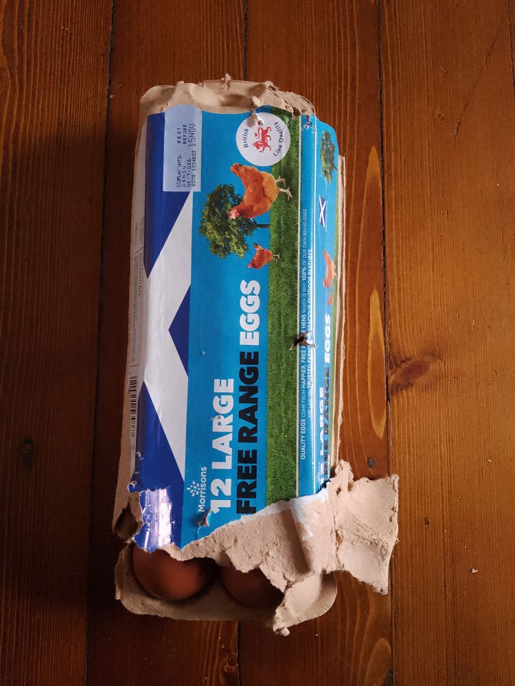 Egg box shredded by cat.