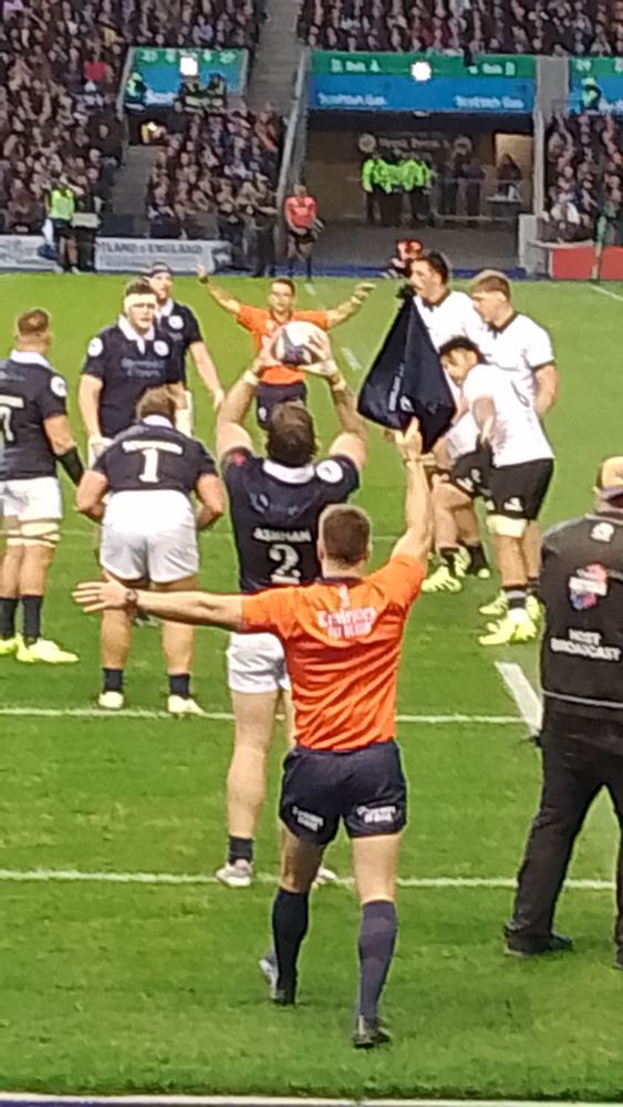 Scotland New Zealand rugger