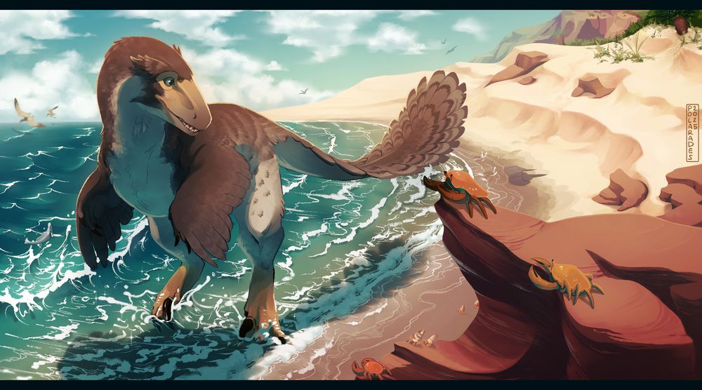 A brownish Utahraptor walking along the shore while crabs watch.