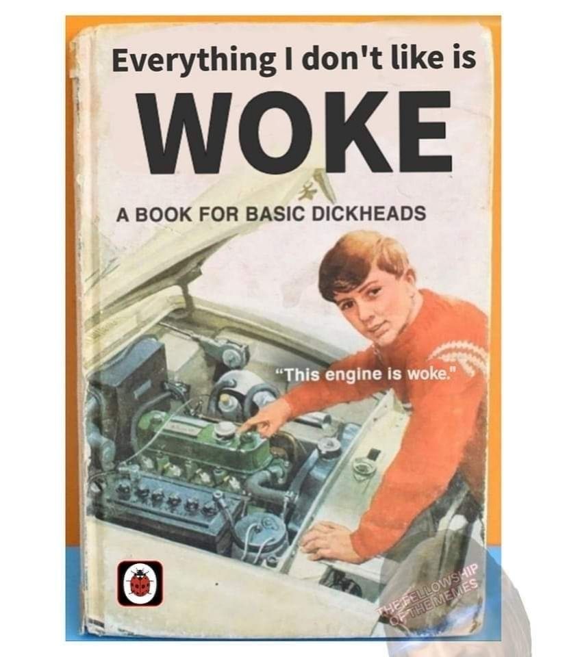 A fake Ladybird book called "Everything I don't like is woke; a book for basic dickheads"

The cover illustration is a young man pointing at a cat engine. He is saying "this engine is woke."
