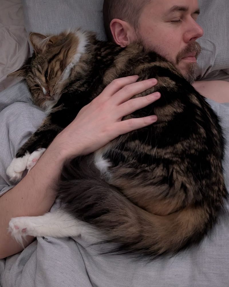 A photo of me and my tabby cat Eddie having a nap in bed. He is curled up on my chest and shoulder, and I have a hand resting on him. 