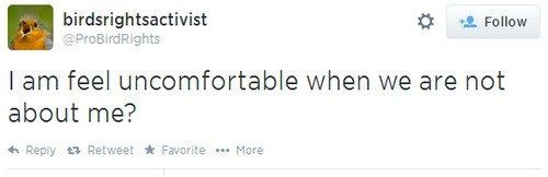 Birdrightsactivist tweet: I am feel uncomfortable when we are not about me?