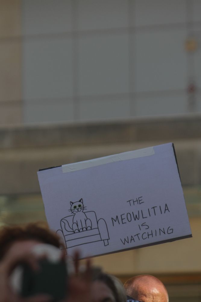 A white sign with the text “the meowlitia is watching.” Held at an NIH rally. 