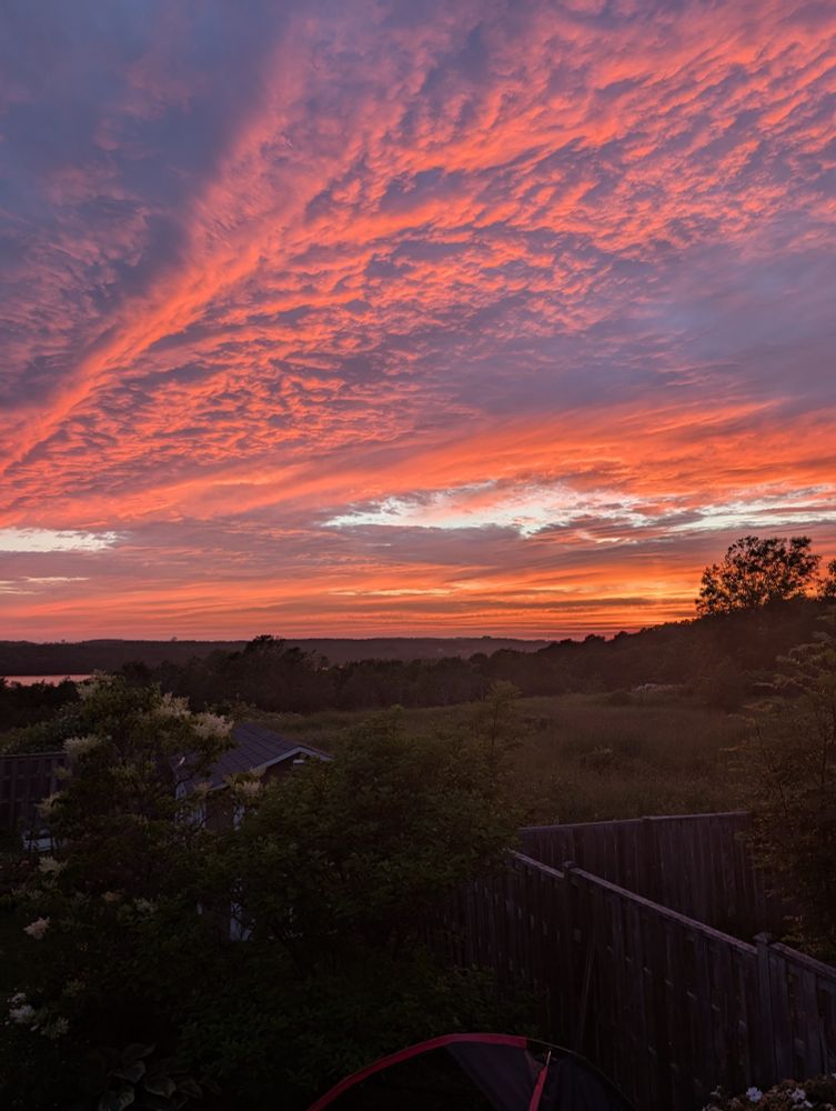 A beautiful sunset overlooking some trees and a lake. 