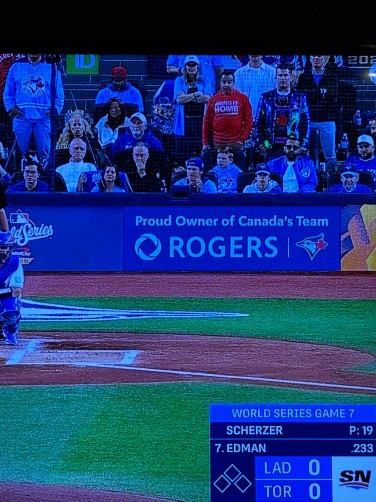 Spectators behind home plate at game 7 of the world series