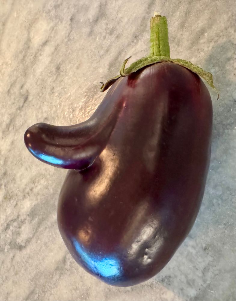 An eggplant with a little extra 