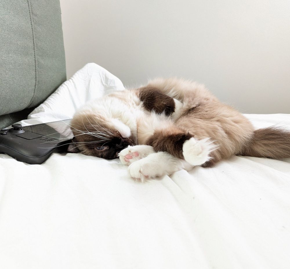 toast flopped and curled upside down, next to a steam deck in bed