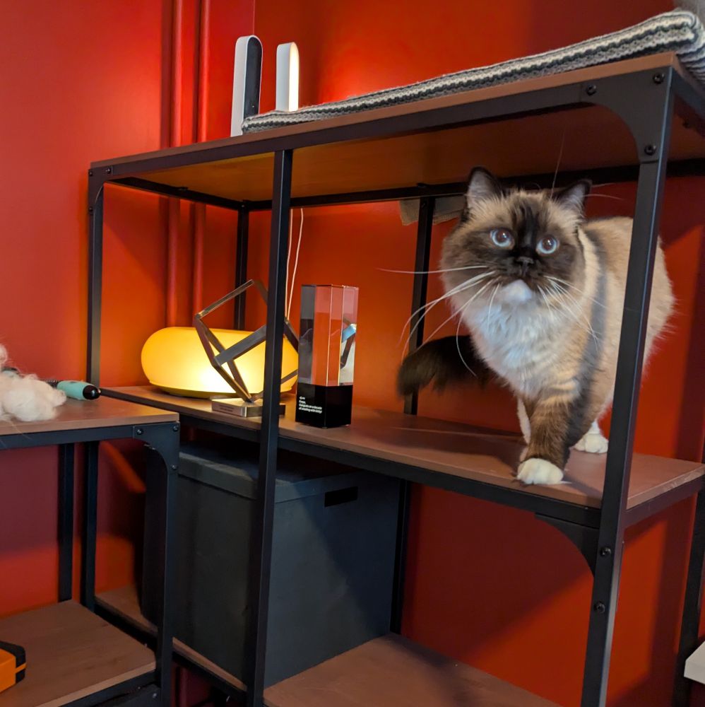 toast standing on a shelf, with a red wall behind him