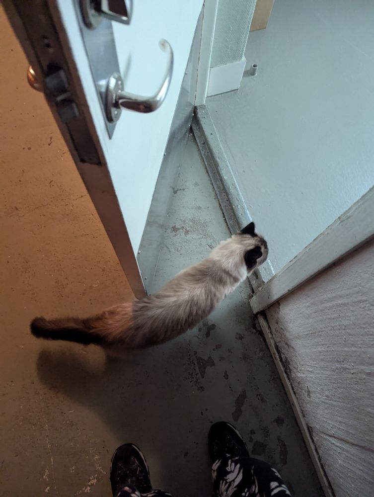 toast standing in a doorway 