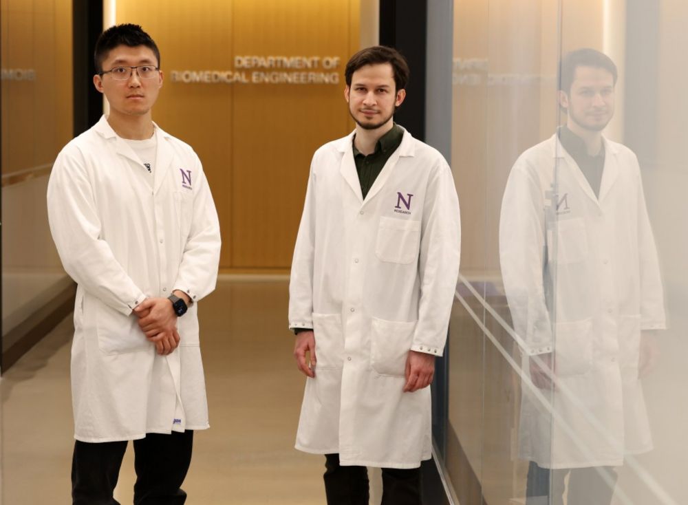 The Trump administration’s freezing of $790 million in federal research funding for Northwestern University has left concerned lab directors without key grants and forced the university to spend mi…