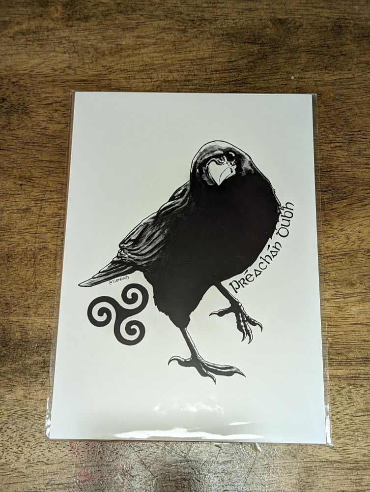 A picture of a black crow with a celtic triskelion beside it.