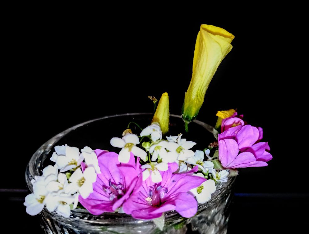 Macro close up shot of tiny white, purple, and yellow wild flowers in a shotglass.