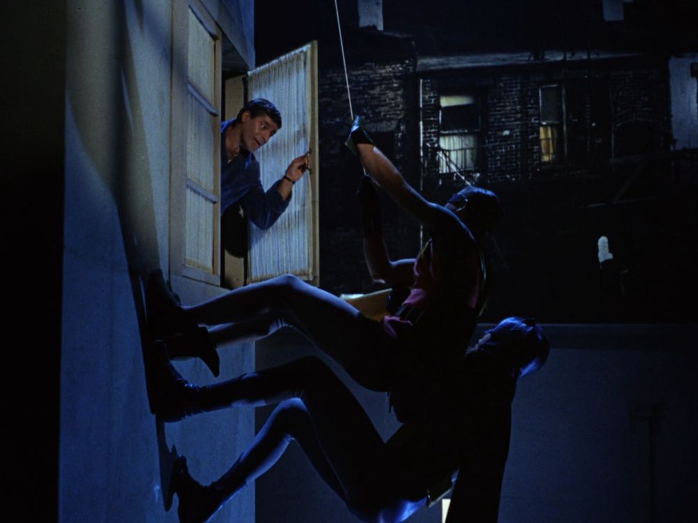 Jerry Lewis cameo in the Batman episode "The Bookworm Turns."