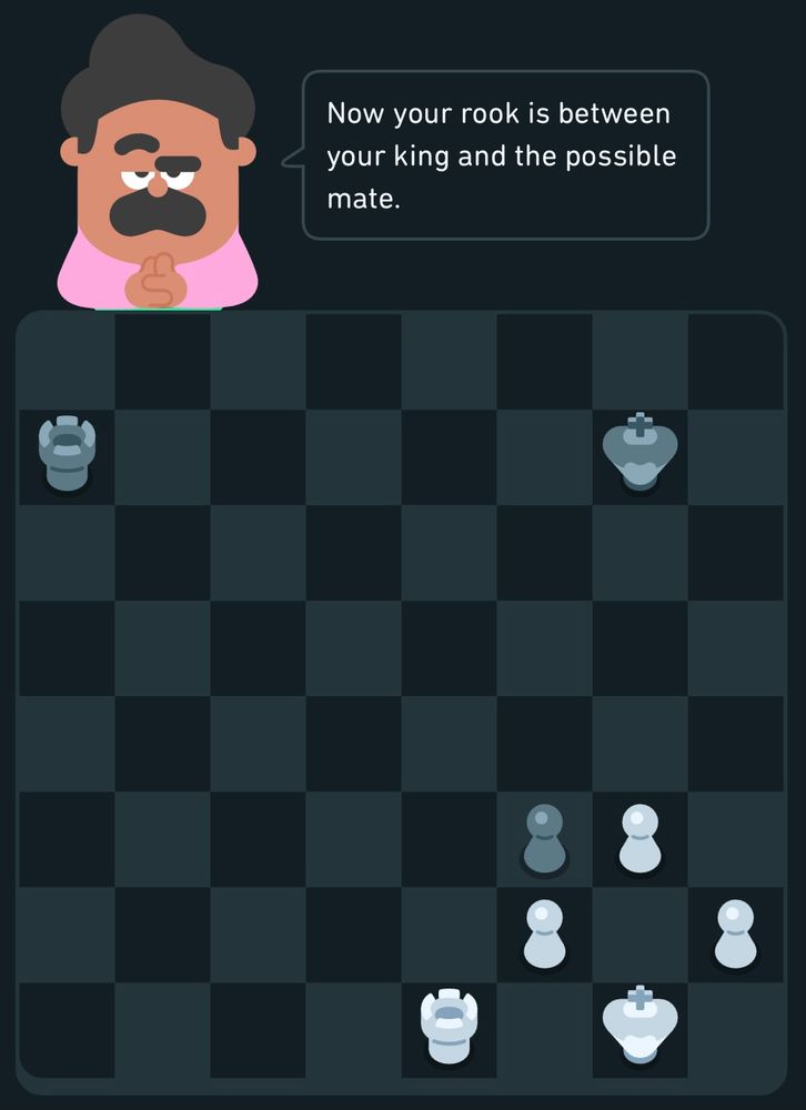 Chess lesson: “Now your rook is between your king and the possible mate.”