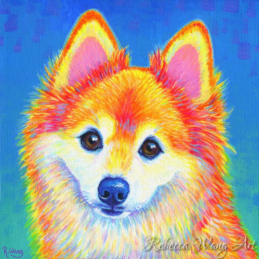 A colorful portrait of a pomeranian dog.