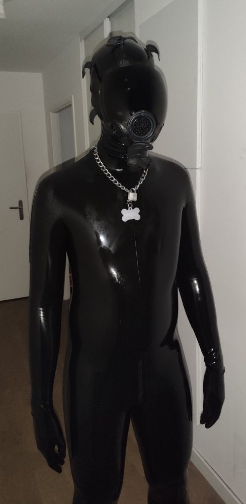 Rubber drone with an MSA millennium and a collar. Standing up, idle position