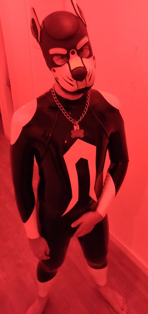 A rubber pup with a collar, holding its crotch