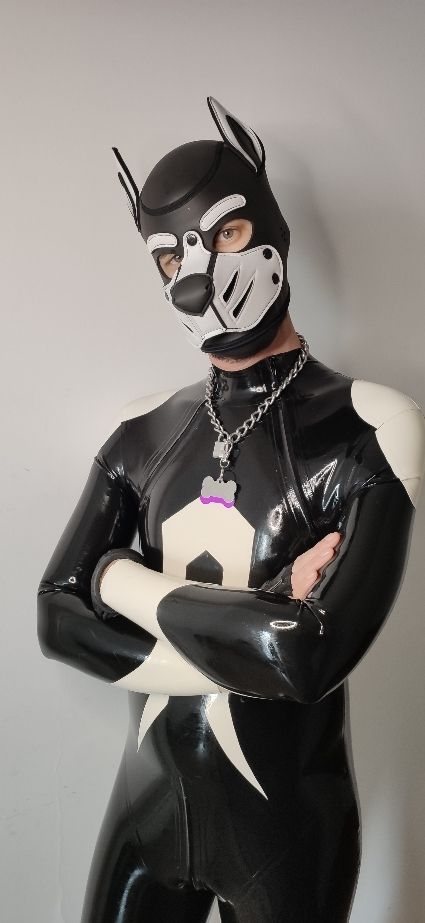 Rubber pup, wearing a Dainese like zipper suit, a collar and a white pup hood