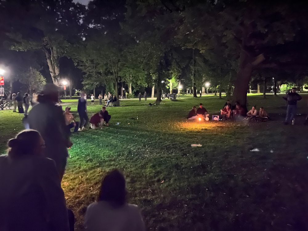 Der nächtliche Westpark im Laternenschein. Das Spielfeld auf der Wiese wird von Fackeln erleuchtet. 