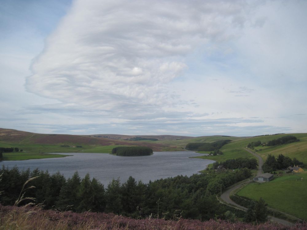 Whiteadder reservoir in August

