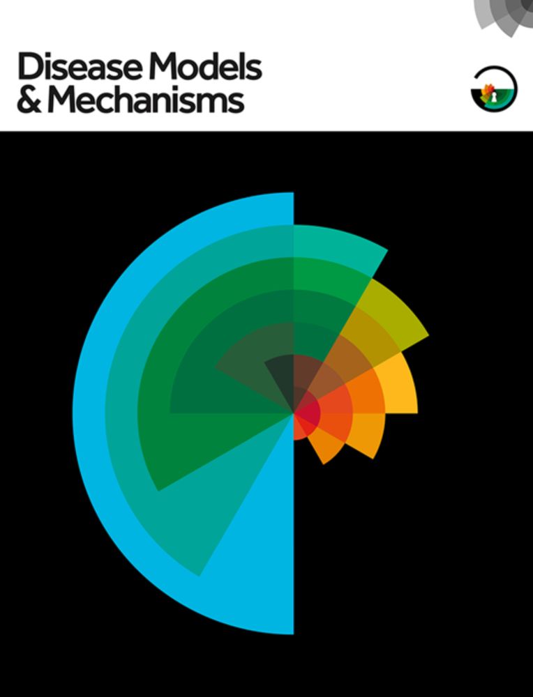 Telomere length is an epigenetic trait – Implications for the use of telomerase-deficient organisms to model human disease