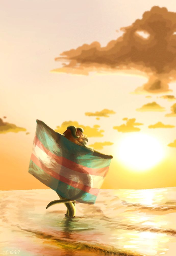 A digital painting of a sunset scene, featuring an anthro dragon standing ankle-deep in the ocean. He js holding a spread-out trans flag. He is facing away from the viewer.