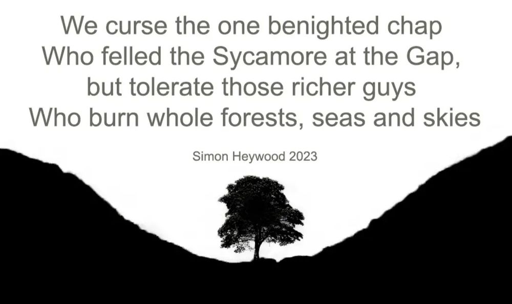 Poem above a silhouette of the tree at Sycamore Gap- poem reads "we curse the poor benighted chap who felled the Sycamore at the Gap, but tolerate those richer guys who burn whole forests, seas and skies"
