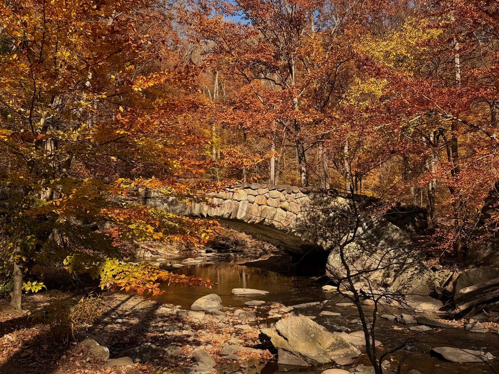 Old rock bridge surrounded by peak fall foliage color