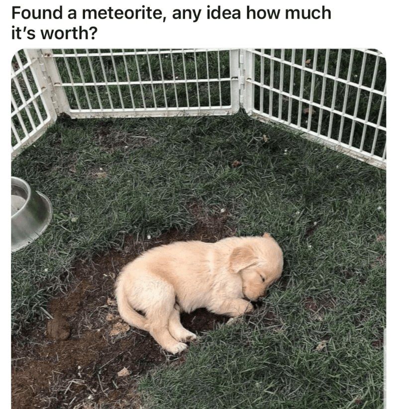 A golden retriever puppy is lying down asleep in a hole dug in the ground. The photo is captioned, 