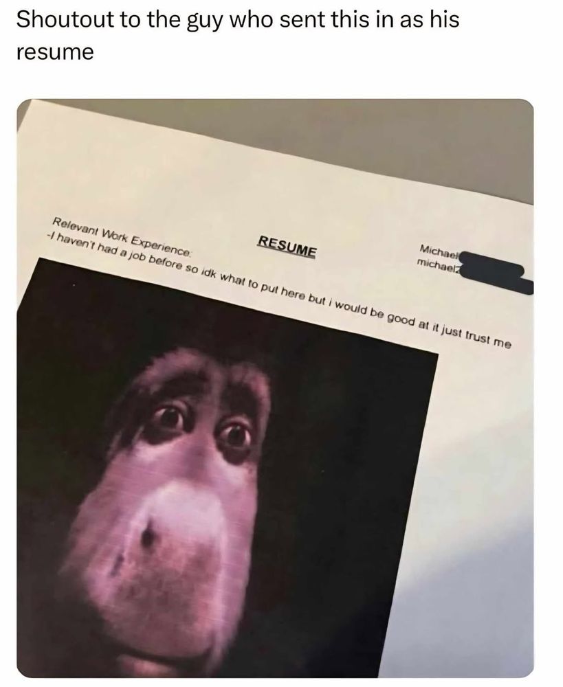 The image shows a resume sent by a person who seems to be joking. The resume is tilted, and the upper right corner is partially obscured by a black mark that covers the person's name and/or contact information. The word 
