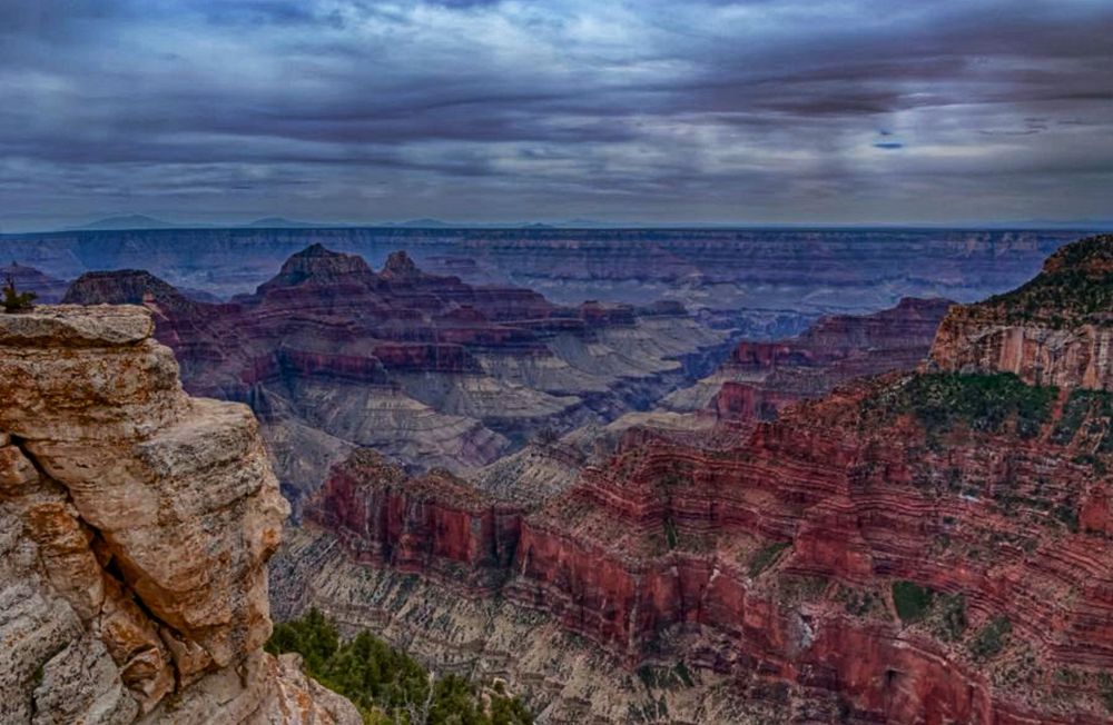 Grand Canyon north rim. Vibrant reds and oranges.  Overcast skies. 