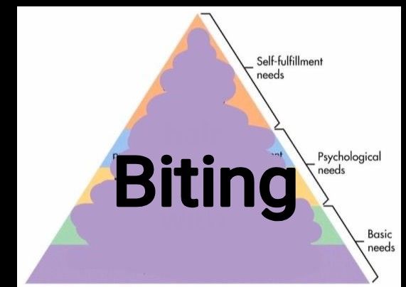 The “hierarchy of needs” triangle but it’s been scribbled out in lavender and labeled “Biting”.