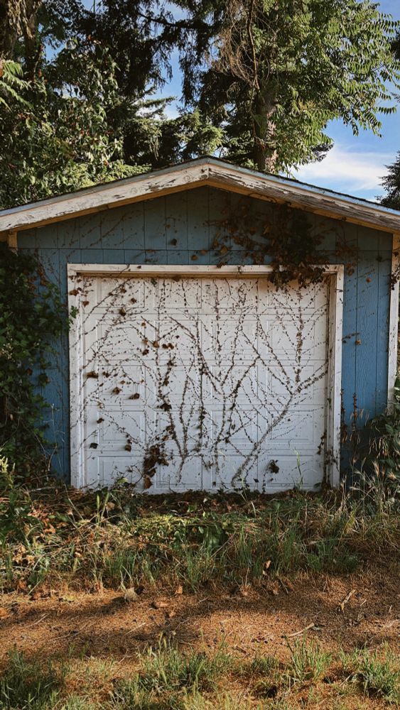 garage door that ivy has been pulled away from, leaving a network of rootlets stuck to the surface