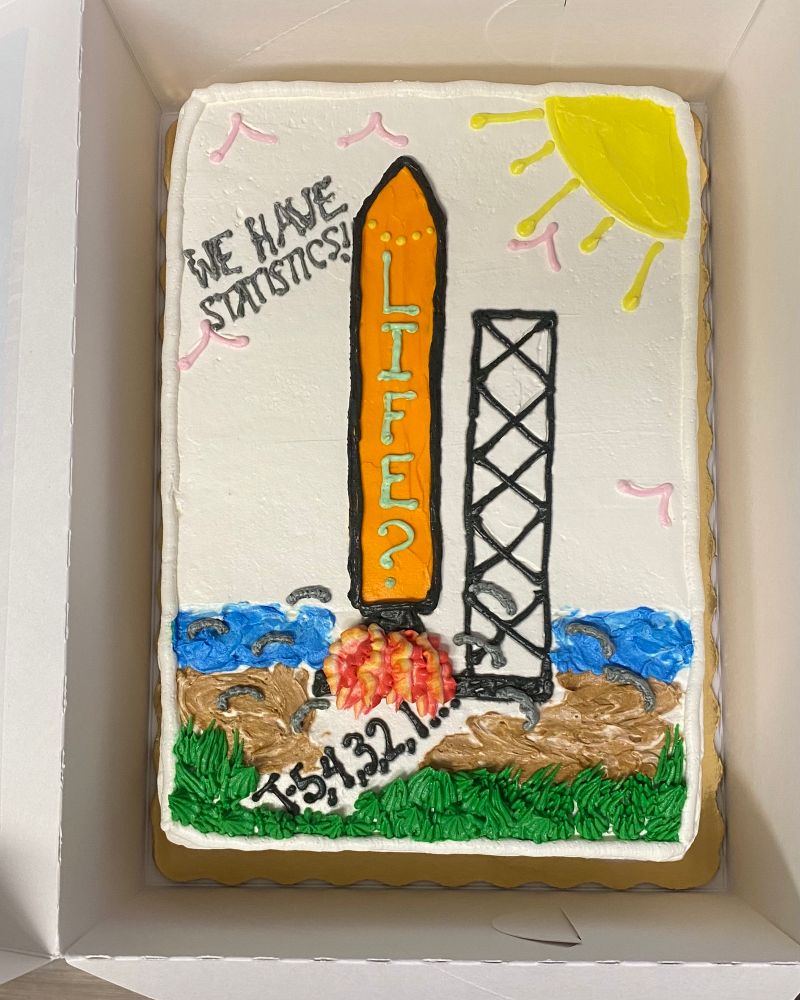 Photo of a rectangular cake with the scene of an orange rocket lifting off. “Life?” Is written on the rocket. “We have statistics!” is written in the top left corner. Below the rocket is a countdown from 5. This cake was lovingly designed by my boyfriend, Ted. 