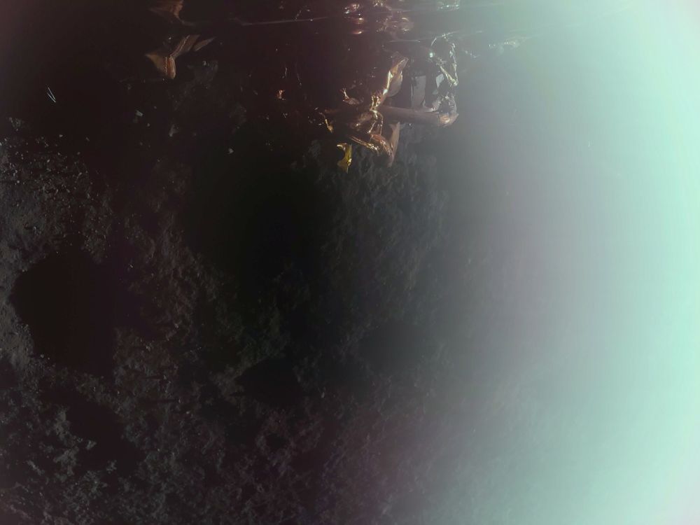 First Image of the lunar surface taken by the Blue Ghost Lander 