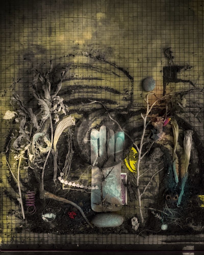 A still life comprised of dead weeds and found objects. A glove shape with a French Franc that has Lady Liberty on it covered by a large convex glass lens. 