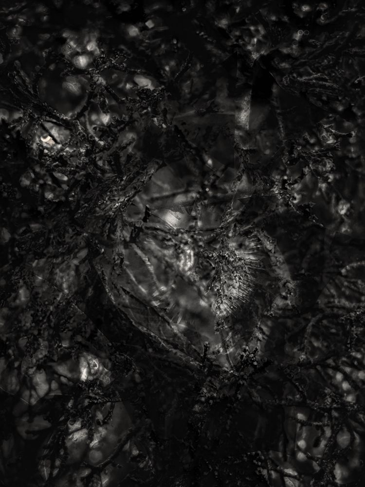 A warm black and white image that is very dark. Organic shapes cluster around the beating heart of sorrow with great spiny teeth at its opening. 