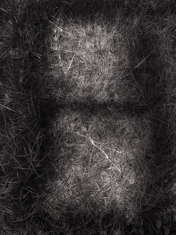 A black and white image of grass with two deep indents where pillows laid on the lawn. 