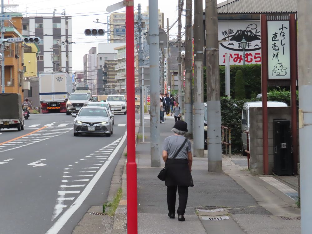 View of the road in Funabashi where the main Funassyiland is located.  It looks pretty ordinary... bar for the Funassyiland sign.